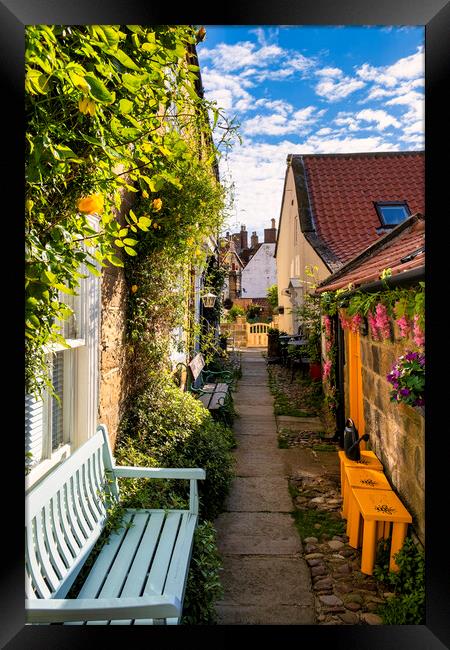 Yellow roses at Robin hoods Bay Framed Print by Tim Hill