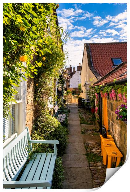 Yellow roses at Robin hoods Bay Print by Tim Hill