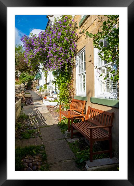 Flowers At Robin Hoods Bay Framed Mounted Print by Steve Smith