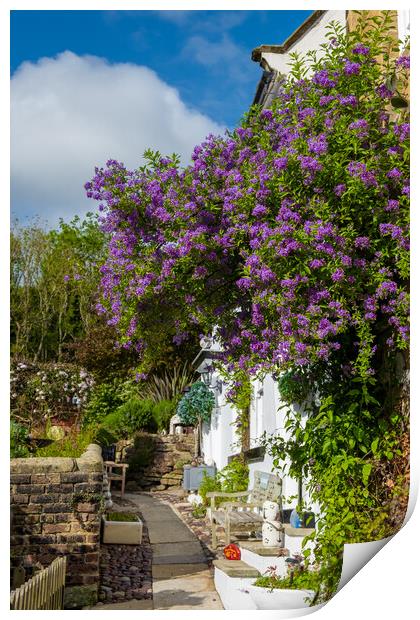 Summertime Robin Hoods Bay Print by Steve Smith