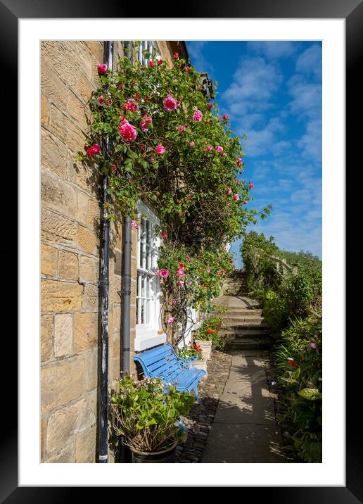 The Alleyways Robin Hoods Bay Framed Mounted Print by Steve Smith
