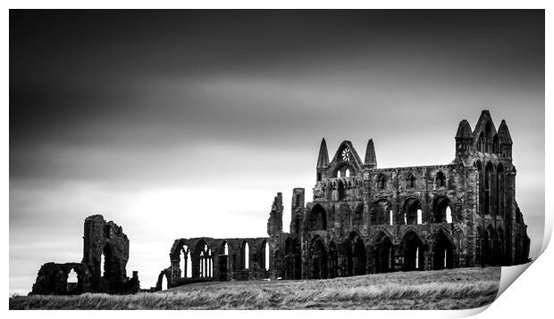 Whitby Abbey in Black and White Print by Tim Hill