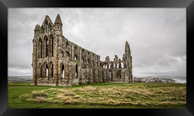 Whitby Abbey Framed Print by Tim Hill