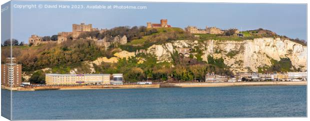 Dover Canvas Print by David Hare