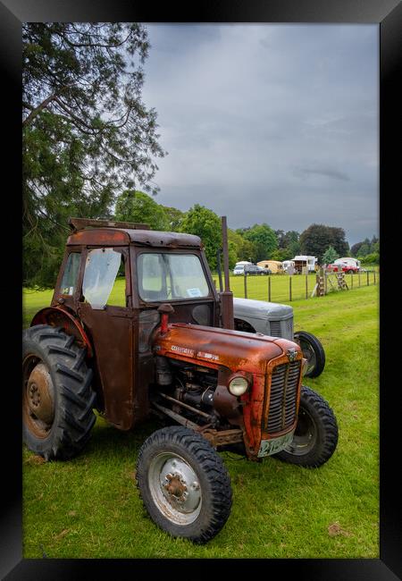 Massey Ferguson 35 Tractor Framed Print by Steve Smith