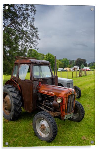 Massey Ferguson 35 Tractor Acrylic by Steve Smith