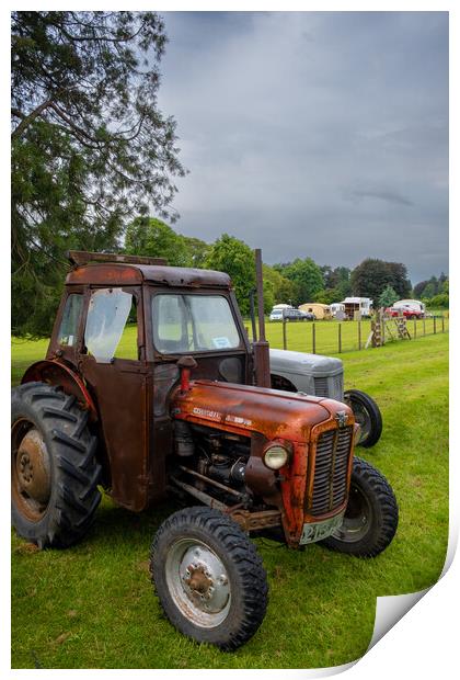 Massey Ferguson 35 Tractor Print by Steve Smith