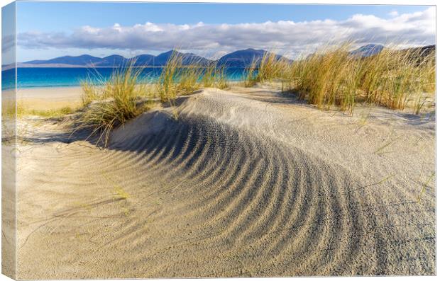 Luskentyre Isle of Harris Canvas Print by Steve Smith