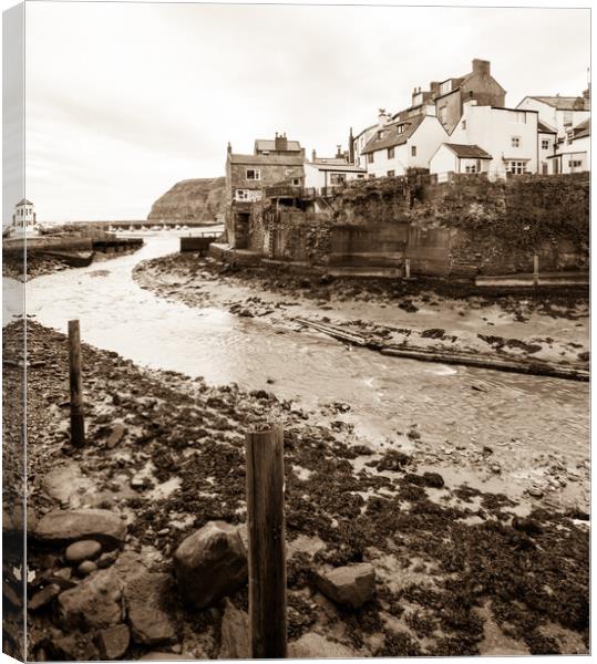 Staithes Sepia Canvas Print by Tim Hill