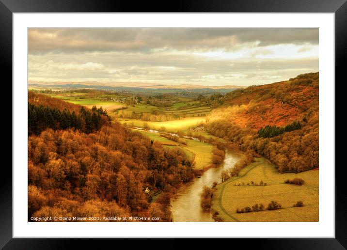  Symonds Yat  Golden Hour Framed Mounted Print by Diana Mower