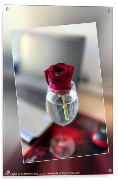 Dark red rose Acrylic by Marinela Feier