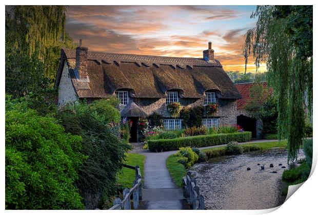 Riverside Thatched Beauty Print by Tim Hill