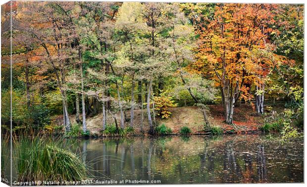 Autumn Trees and Reflections Canvas Print by Natalie Kinnear