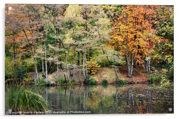 Autumn Trees and Reflections Acrylic by Natalie Kinnear