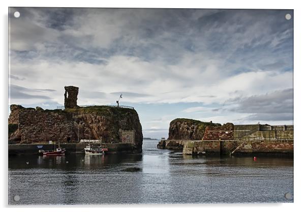 Dunbar Harbour Acrylic by Sam Smith