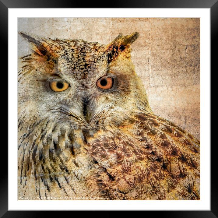 Majestic Hunter The Eurasian Eagle Owl Framed Mounted Print by Tylie Duff Photo Art