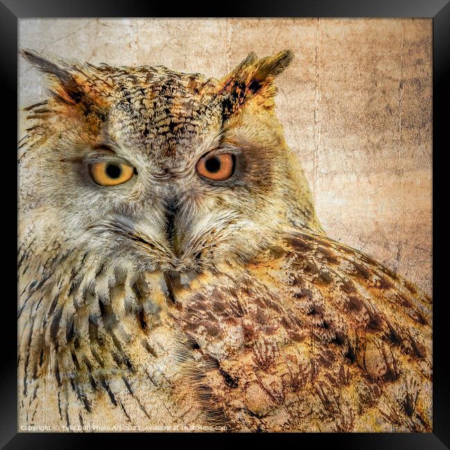 Majestic Hunter The Eurasian Eagle Owl Framed Print by Tylie Duff Photo Art