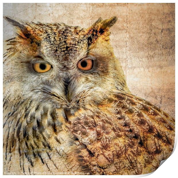 Majestic Hunter The Eurasian Eagle Owl Print by Tylie Duff Photo Art