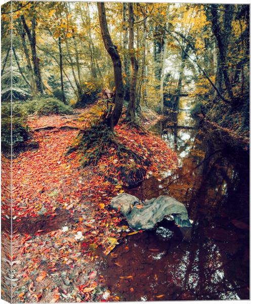 Enchanting Autumn Woodland Wonderland Canvas Print by Tim Hill