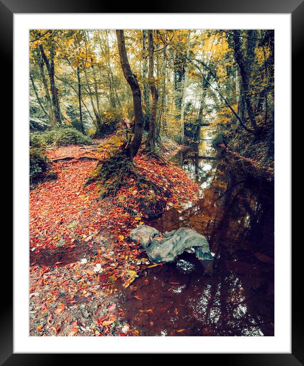 Enchanting Autumn Woodland Wonderland Framed Mounted Print by Tim Hill
