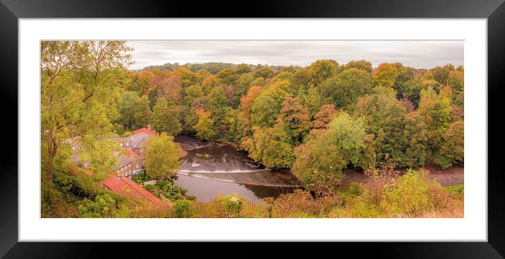 Autumn Woodland Knaresborough Framed Mounted Print by Tim Hill