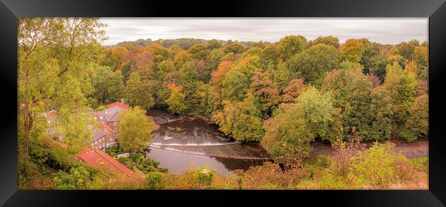 Autumn Woodland Knaresborough Framed Print by Tim Hill