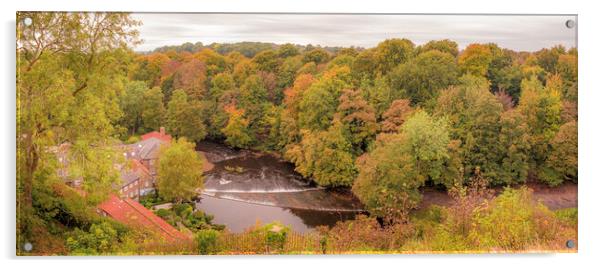 Autumn Woodland Knaresborough Acrylic by Tim Hill
