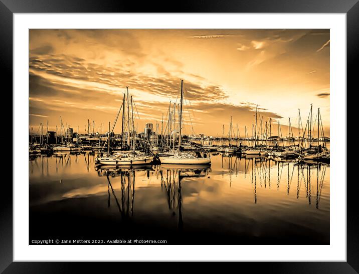 Marina Life Framed Mounted Print by Jane Metters