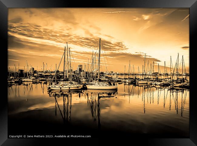 Marina Life Framed Print by Jane Metters