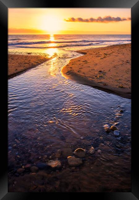 Golden Hour Glory Framed Print by Tim Hill