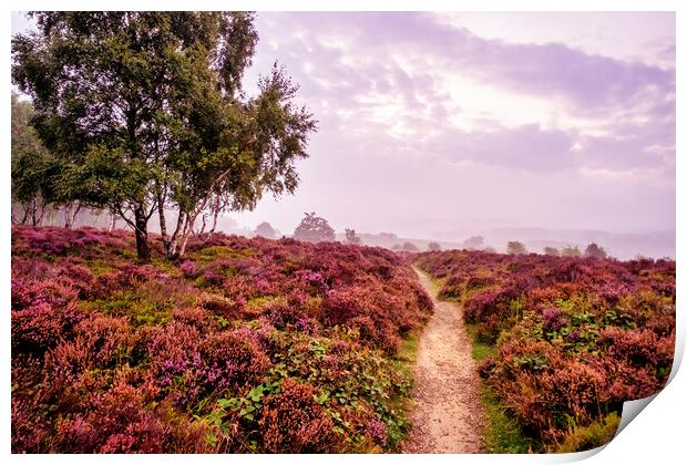 Surprise View Peak District Print by Tim Hill