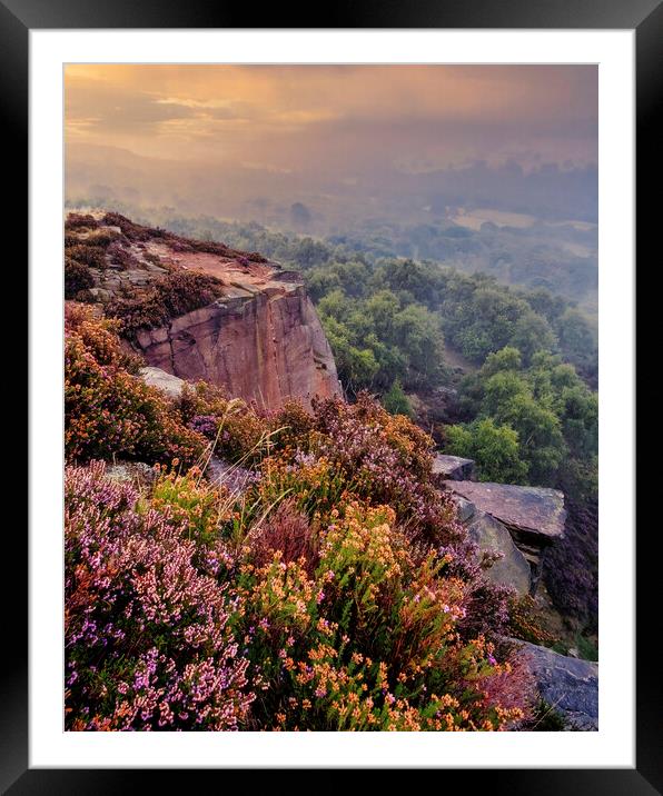 Majestic Sunrise Over Heather Framed Mounted Print by Tim Hill