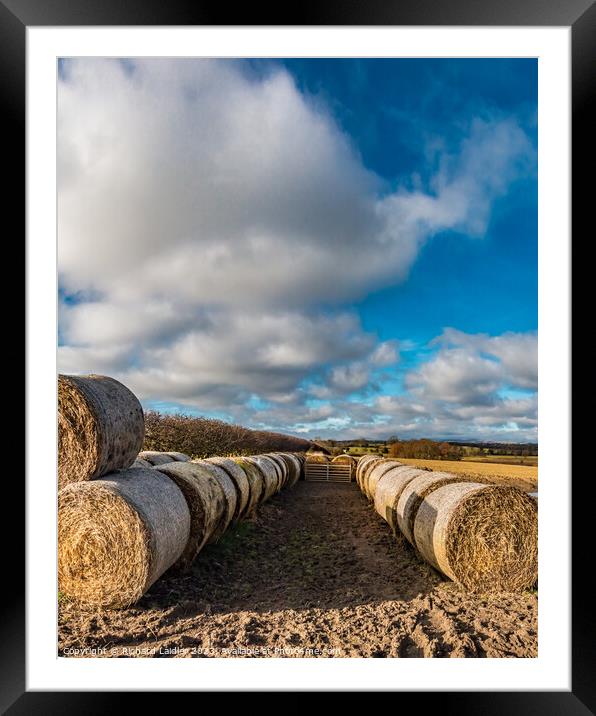 Bales and Sky at Thorpe  Framed Mounted Print by Richard Laidler