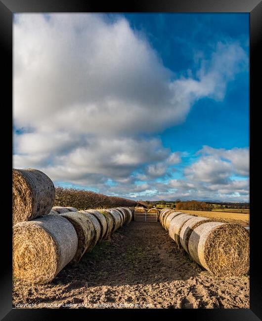 Bales and Sky at Thorpe  Framed Print by Richard Laidler