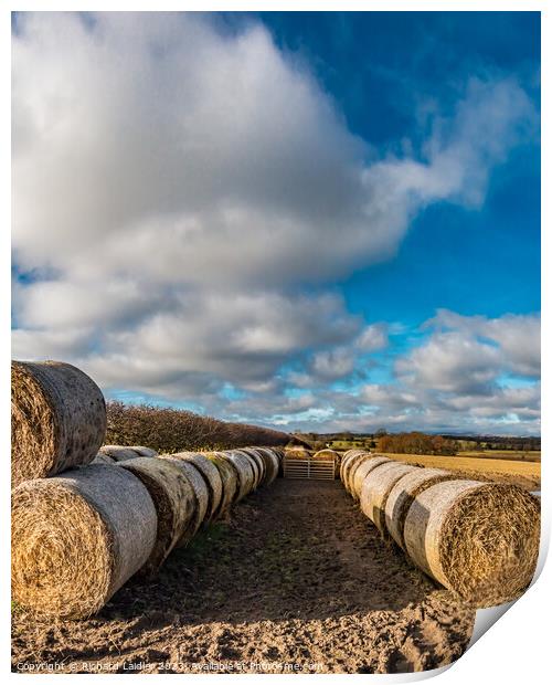 Bales and Sky at Thorpe  Print by Richard Laidler