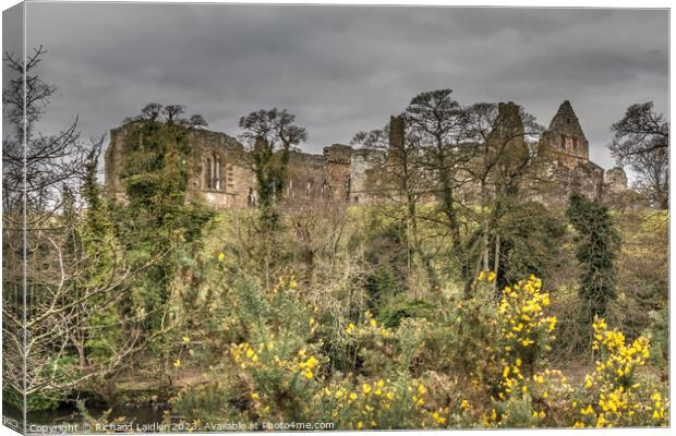 Egglestone Abbey and Gorse  Canvas Print by Richard Laidler