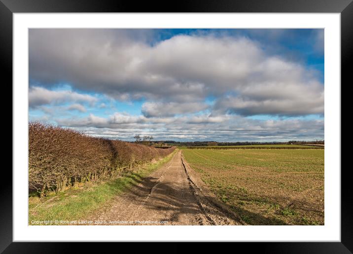 Track and Sky  Framed Mounted Print by Richard Laidler