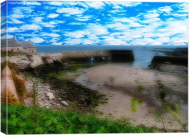 The Cove Canvas Print by Ian Jeffrey