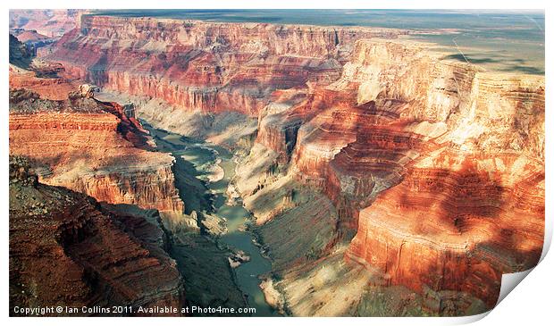The Grand Canyon Print by Ian Collins