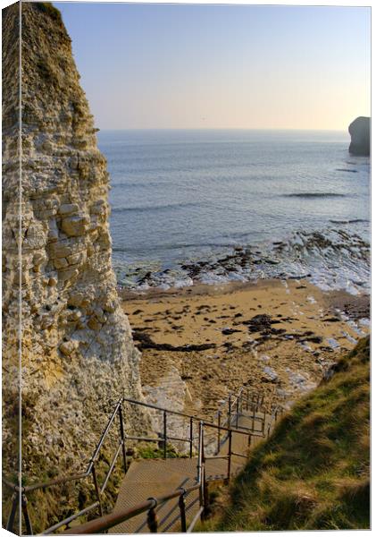 Selwicks Bay Flamborough East Yorkshire Canvas Print by Steve Smith