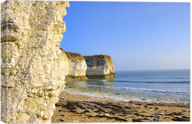 Selwicks Bay Flamborough East Yorkshire Canvas Print by Steve Smith