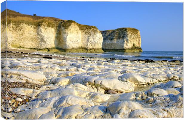 Selwicks Bay Flamborough East Yorkshire Canvas Print by Steve Smith