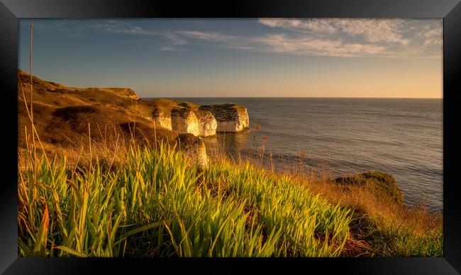 Majestic Cliffs of Flamborough Framed Print by Tim Hill