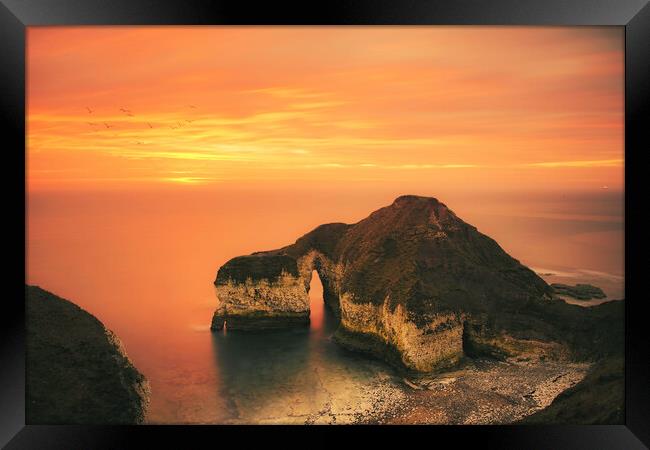 Drinking Dinosaur Flamborough Head Framed Print by Tim Hill