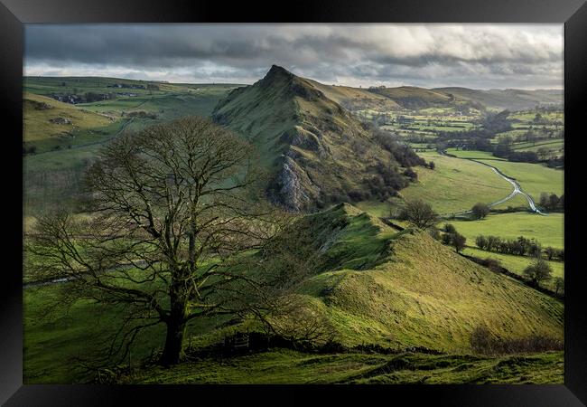 Chrome Hill Lone Tree ~ Derbyshire Peak District Framed Print by Tim Hill