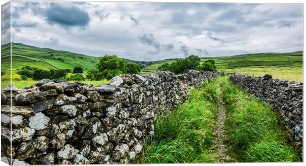 Dry Stone Walls to Malham Cove Canvas Print by Tim Hill