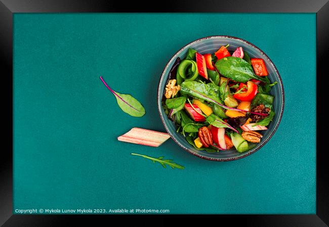 Healthy salad with rhubarb, vegan salad Framed Print by Mykola Lunov Mykola