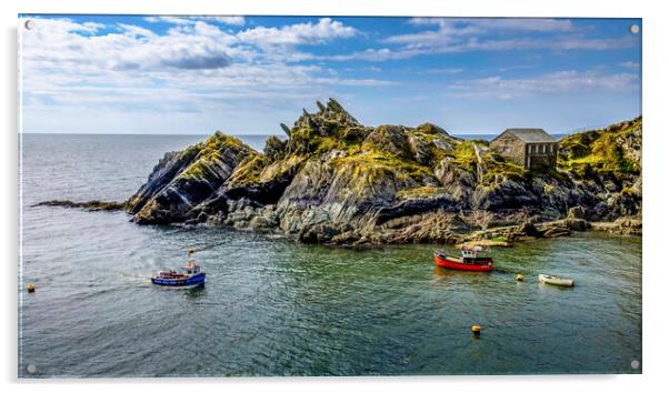Polperro Cornish Coast Acrylic by Tim Hill