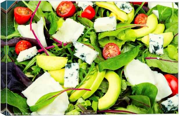 Vegetable delicious salad with greens and mozzarella Canvas Print by Mykola Lunov Mykola