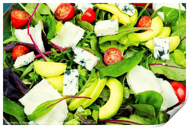 Vegetable delicious salad with greens and mozzarella Print by Mykola Lunov Mykola